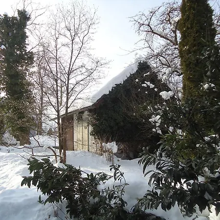 Pensionat Hribar Brezje
