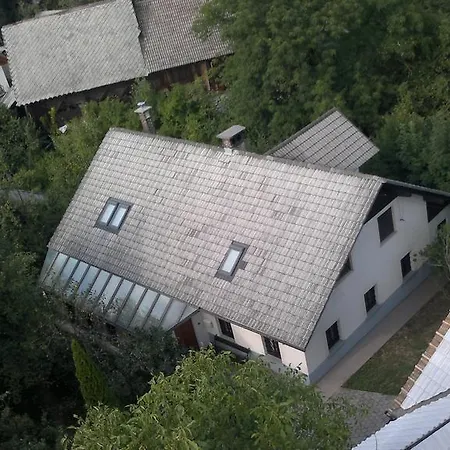 Hribar Brezje